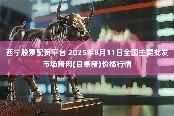 西宁股票配资平台 2025年8月11日全国主要批发市场猪肉(白条猪)价格行情