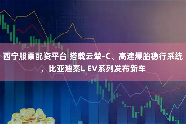 西宁股票配资平台 搭载云辇-C、高速爆胎稳行系统，比亚迪秦L EV系列发布新车