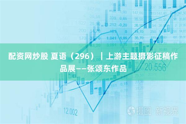 配资网炒股 夏语（296）｜上游主题摄影征稿作品展——张颂东作品